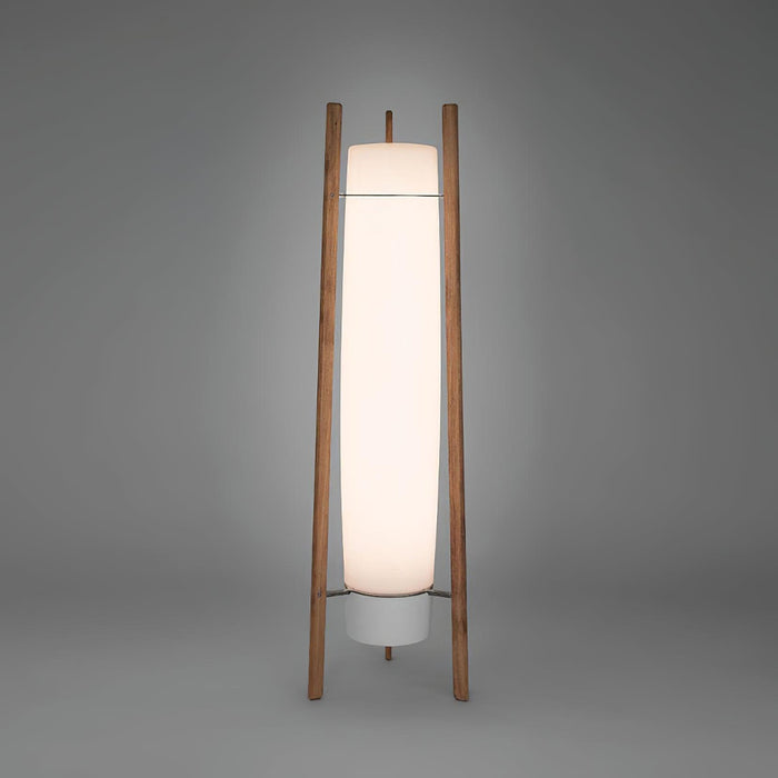 Side LED Floor Lamp.