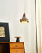 Sierra Pendant Lamp-DWHOME