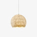 Silk Luna Pendant Lamp-DWHOME