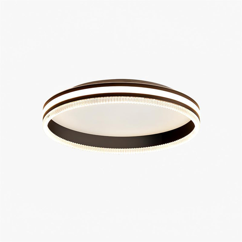 Simple Acrylic Ring Ceiling Light-DWHOME