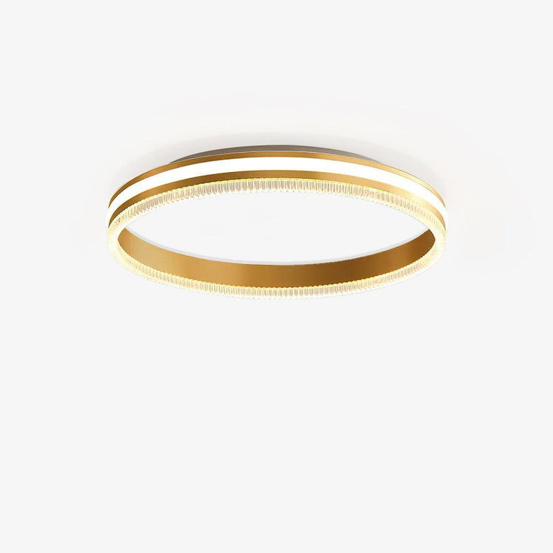 Simple Acrylic Ring Ceiling Light-DWHOME