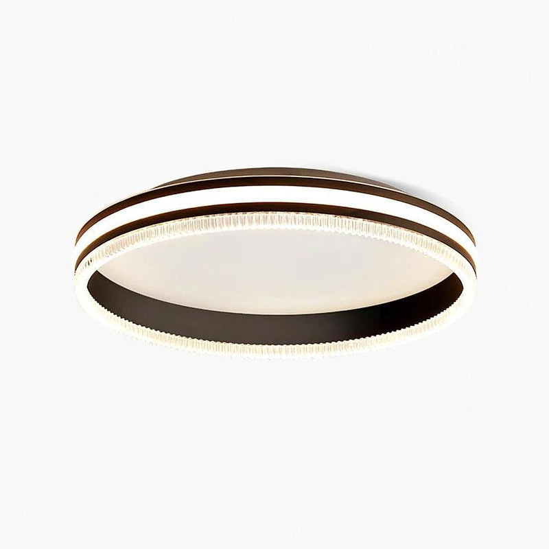 Simple Acrylic Ring Ceiling Light-DWHOME