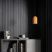 Skeleton Pendant Light-DWHOME