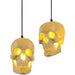 Skull Pendant Light.