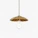 Sleek Flat Pendant Lamp-DWHOME