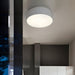 Smithfield Ceiling Light-DWHOME