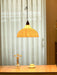 Soren Pendant Lamp-DWHOME