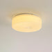 Souffle Ceiling Lamp - DWHOME