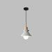 Space Pendant Lamp-DWHOME