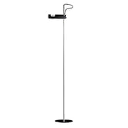 Spider Floor Lamp-DWHOME