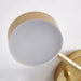 Sputnik Ceiling Light-DWHOME