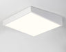 RUBEN Squarely Inclined Ceiling Lamp.