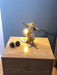 Squirrel Table Lamp-DWHOME