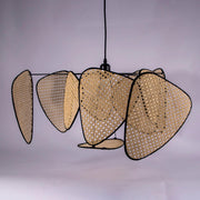Screen Cannage Suspension-DWHOME