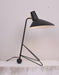 Svelte Noir Table Lamp-DWHOME