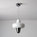 Swan Pendant Lamp-DWHOME