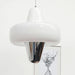 Swan Pendant Lamp.