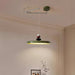 Swing Arm Stone Pendant Light.