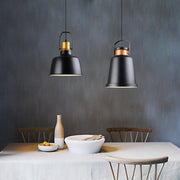 Newman Black Dome Industrial Loft Pendant Light-DWHOME