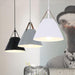 Leather Strap Suspension Minimalist Pendant  Light.