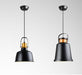 Newman Black Dome Industrial Loft Pendant Light.