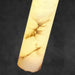 Tala Brass Pendant Lamp-DWHOME
