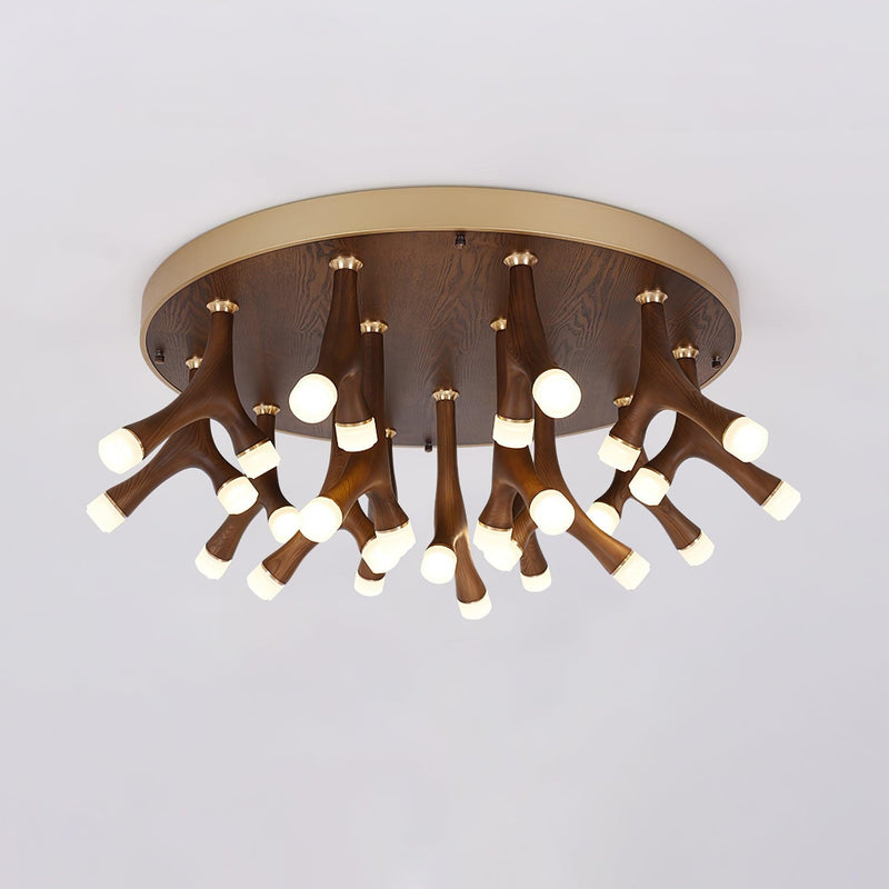 Tentacle Ceiling Lamp-DWHOME