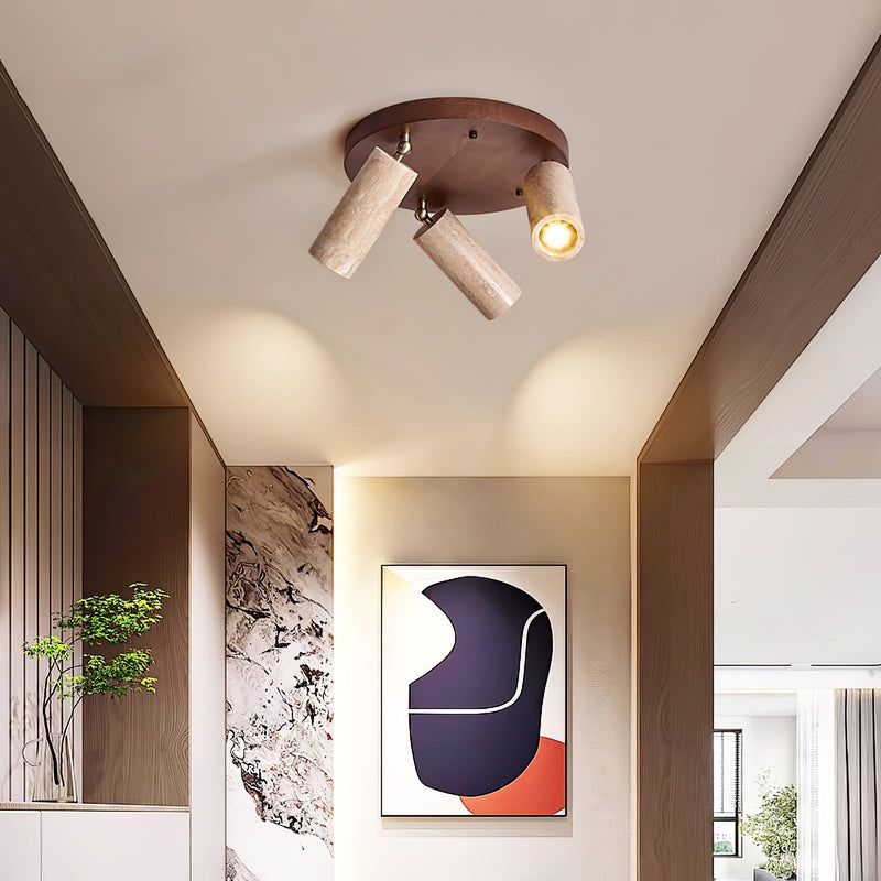 Terra Beam Ceiling Light-DWHOME