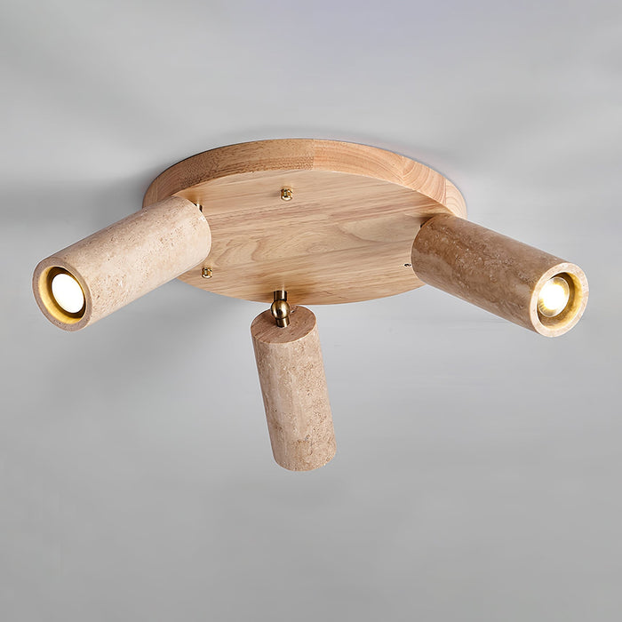 Terra Beam Ceiling Light-DWHOME