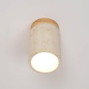 Terra Cylinder Ceiling Light-DWHOME