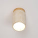 Terra Cylinder Ceiling Light - DWHOME