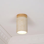 Terra Cylinder Ceiling Light-DWHOME