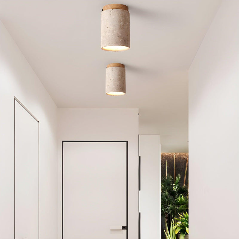 Terra Cylinder Ceiling Light-DWHOME
