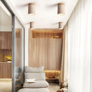 Terra Cylinder Ceiling Light-DWHOME