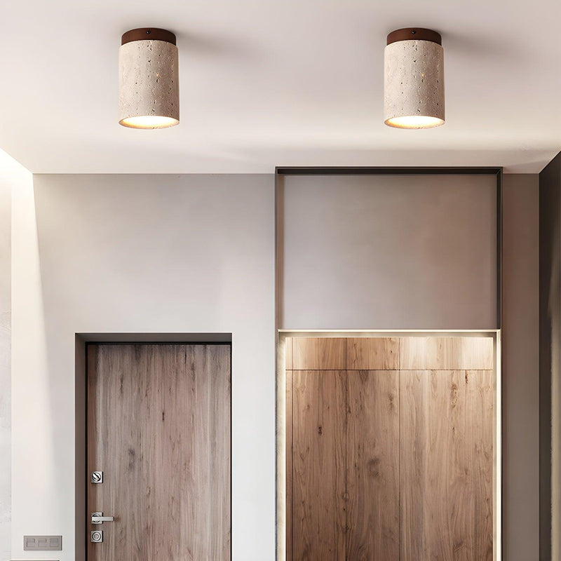 Terra Cylinder Ceiling Light-DWHOME
