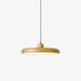 Thin Disc Pendant Lamp-DWHOME