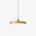 Thin Disc Pendant Lamp.