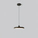 Thin Disc Pendant Lamp.