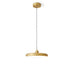 Thin Disc Pendant Lamp-DWHOME