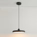 Thin Disc Pendant Lamp-DWHOME