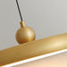 Thin Disc Pendant Lamp-DWHOME