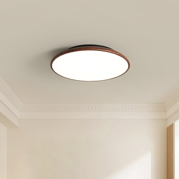 Thin Geometry Shape Ceiling Lamp.