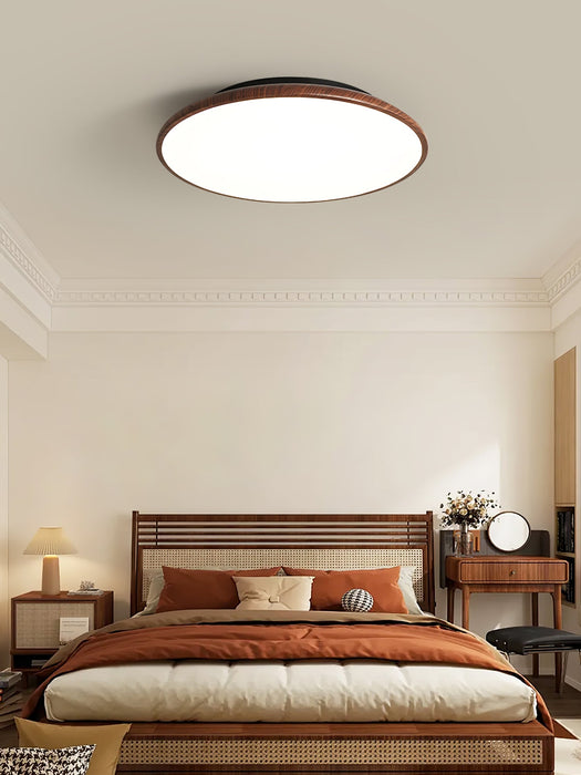 Thin Geometry Shape Ceiling Lamp.