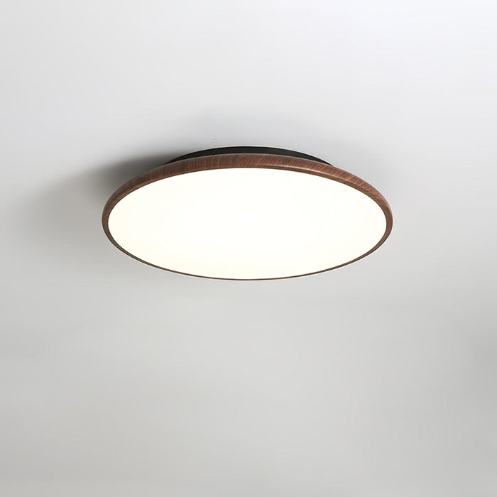 Thin Geometry Shape Ceiling Lamp - DWHOME