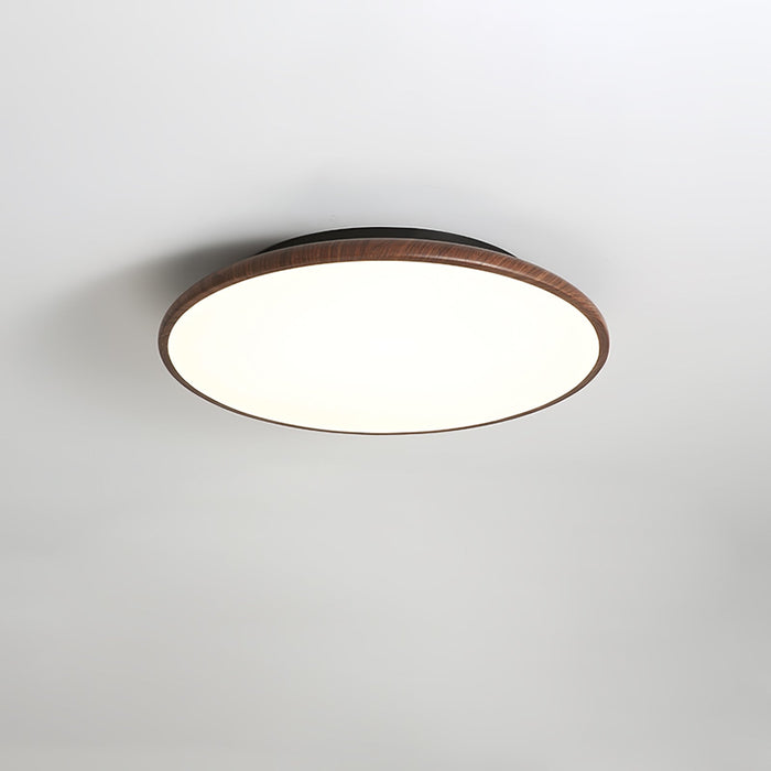 Thin Geometry Shape Ceiling Lamp.