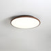 Thin Geometry Shape Ceiling Lamp.