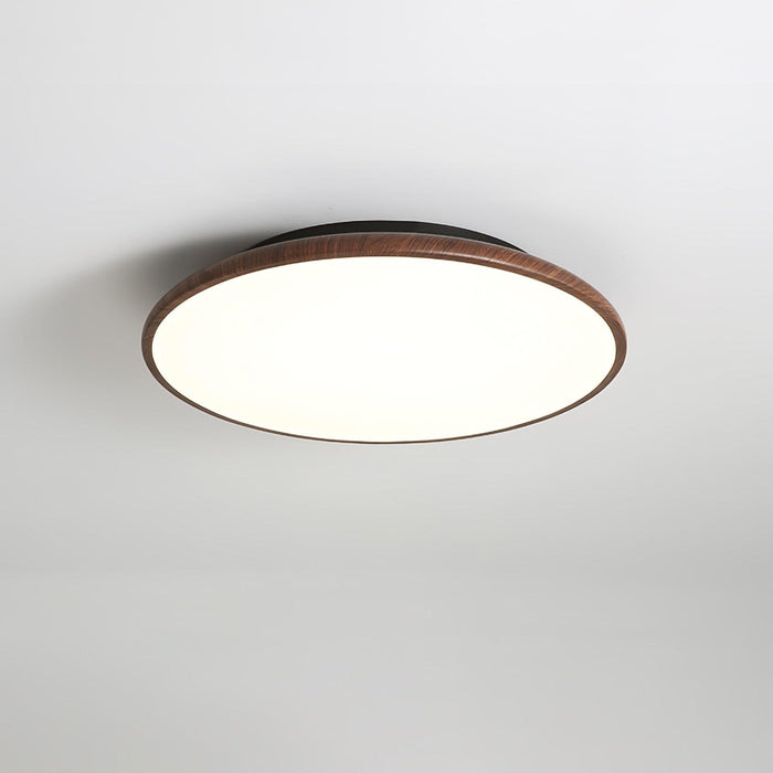 Thin Geometry Shape Ceiling Lamp - DWHOME