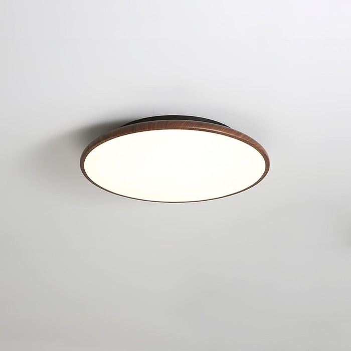 Thin Geometry Shape Ceiling Lamp - DWHOME