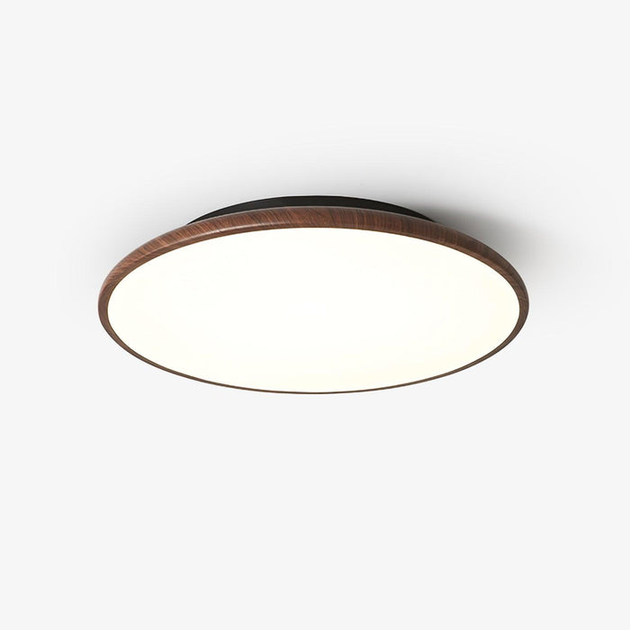 Thin Geometry Shape Ceiling Lamp - DWHOME