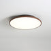 Thin Geometry Shape Ceiling Lamp.